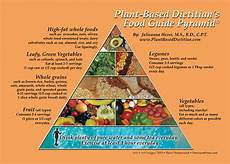Plant Food