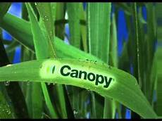 Plant Growth Regulator