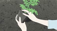 Plant Growth Regulator