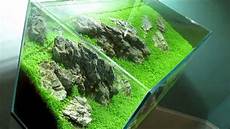 Planted Aquarium
