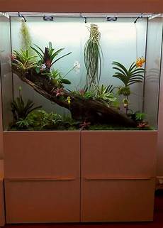 Planted Aquarium