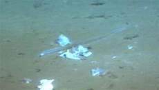Plastic Bag