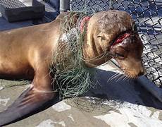 Plastic Nets