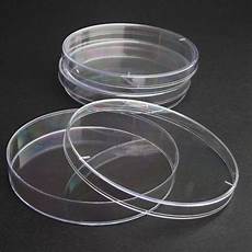 Plastic Processing Service