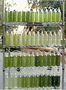 Plastic Tubes