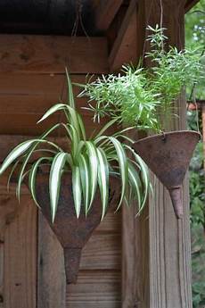 Plastic Vases