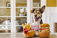 Plush Dogs