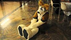Plush Dogs