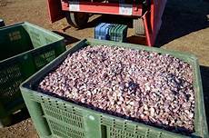 Pneumatic Precision Vegetable Planter