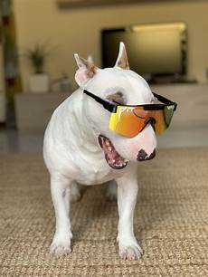 Polarized Sunglasses