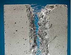 Polyester Fiber