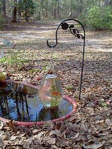 Pond Fish