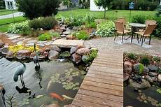 Pond Fish