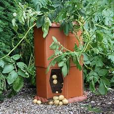 Potato Planter