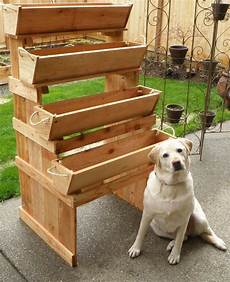 Potato Planter
