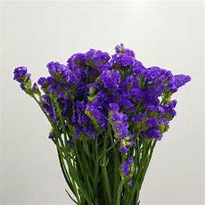 Potted Flowers