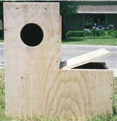 Poultry Nesting