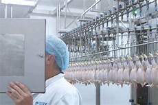Poultry Processing Machinery