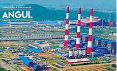 Power Sector Steels