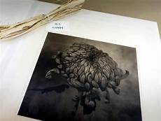 Printing Paper