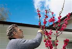 Pruning Tools