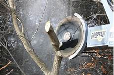 Pruning Tools