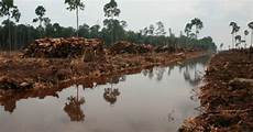 Pulp production