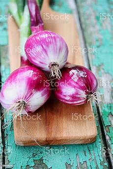 Purple Onion