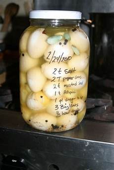Quail Eggs