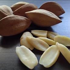 Quality Cashew Nuts