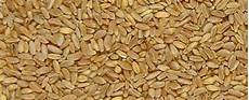 Quality Wheat Flour