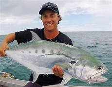 Queen Fish
