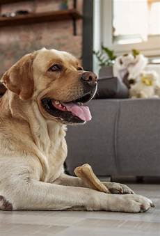 Rawhide Dog Bones