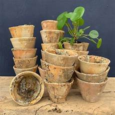 Resin Vases