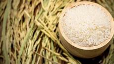 Rice milling machine