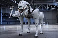 Robot Dog