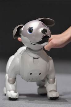 Robot Dog