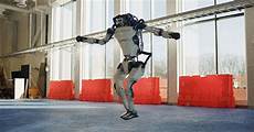 Robot Dog