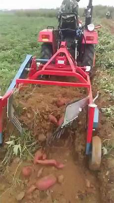 Root Excision Machine Supplier
