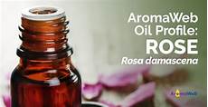 Rose Oil