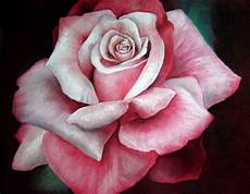 Rose Oil