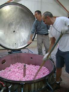 Rose Oil