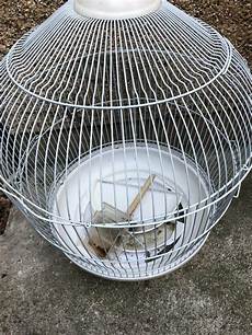Round Bird Cage
