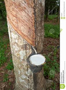 Rubber Raw Materials