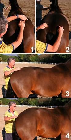 Saddles