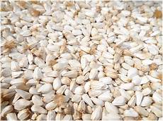 Safflower Seeds