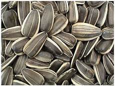 Safflower Seeds
