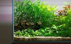 Sand Making Plant
