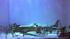 Scale Aircraft Model