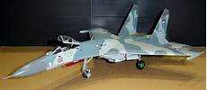 Scale Aircraft Model